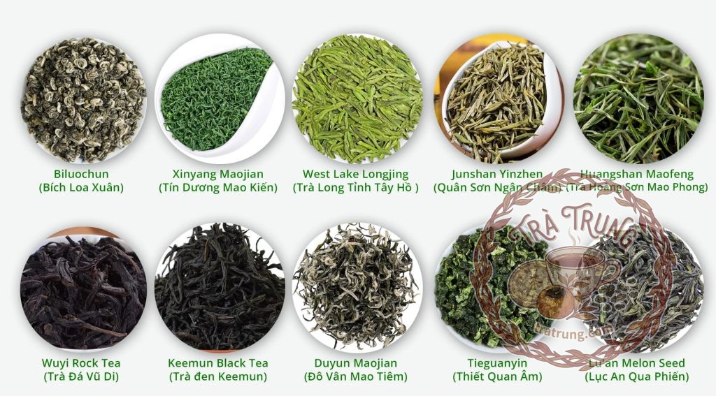 Trà Trung Quốc có những loại nào ngon nhất trong Thập đại danh trà