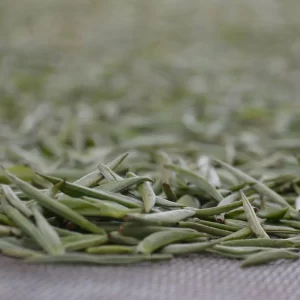 Trà Bạch Hào Ngân Châm Bán Ở Đâu Chuẩn Vị? Top Địa Chỉ & Kinh Nghiệm Chọn Mua