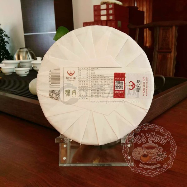 Không gian pha trà phổ nhĩ sống Quy Chân thanh tao