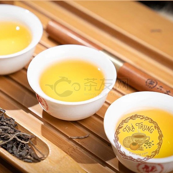 lục đại trà sơn ban chương r sinh trà vân nam