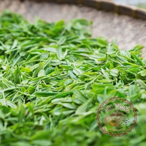 Thưởng thức bánh bạch trà mẫu đơn trong không gian tĩnh lặng