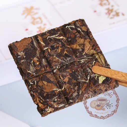 Bạch trà phúc đỉnh là danh trà trắng thượng hạng từ vùng sương lạnh Phúc Kiến - Ảnh 8