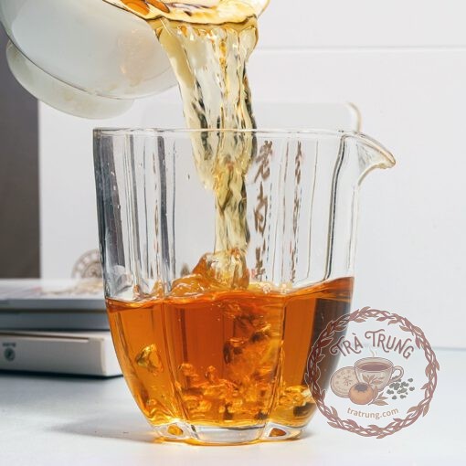 Bạch trà phúc đỉnh là danh trà trắng thượng hạng từ vùng sương lạnh Phúc Kiến - Ảnh 6