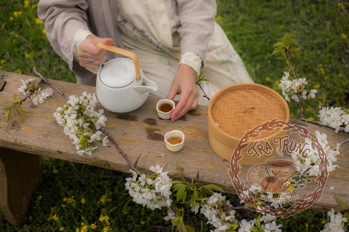 Thưởng thức trà di sản bền lâu nhờ cách bảo quản trà mùa hè đúng điệu