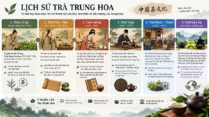 Lịch Sử Phát Triển Của Văn Hóa Trà Trung Hoa Qua Các Triều Đại Cổ Xưa