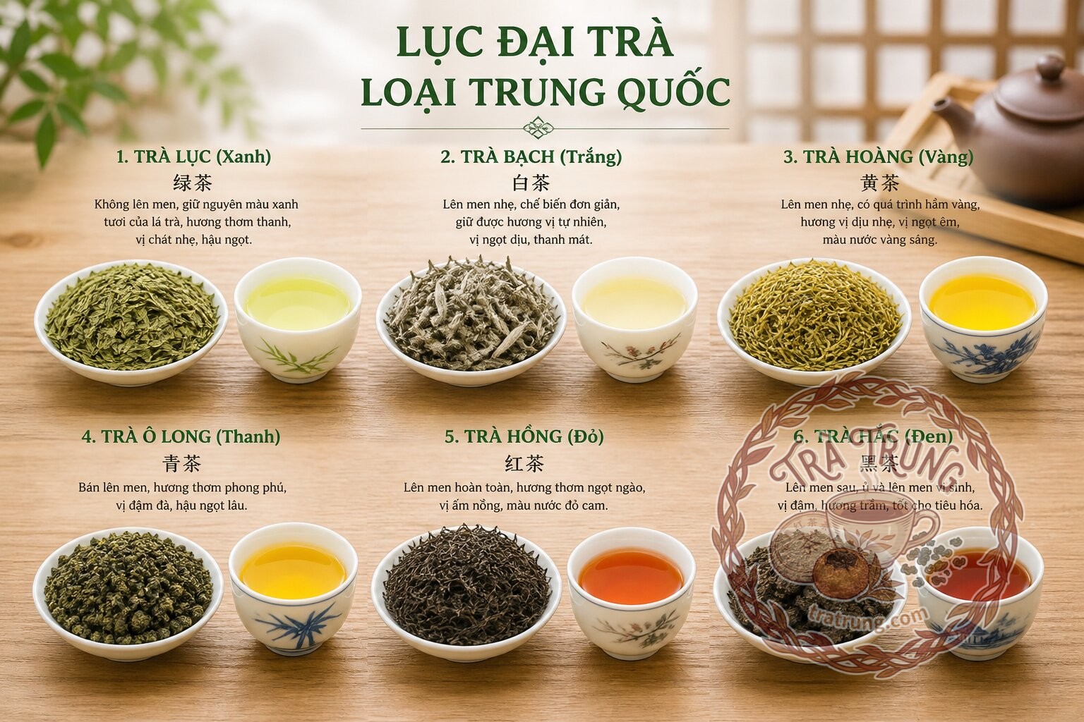 Lục Đại Trà Loại Trung Quốc Là Gì? Cẩm Nang Toàn Diện Cho Người Mới Bắt Đầu Lục Đại Trà Loại Trung Quốc Là Gì? Cẩm Nang Toàn Diện Cho Người Mới Bắt Đầu